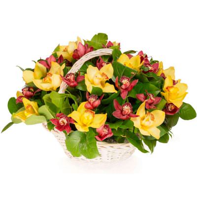 Красивая корзина с орхидеями «Яркие краски»